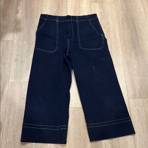 Anthropologie Midnight Blue Trousers